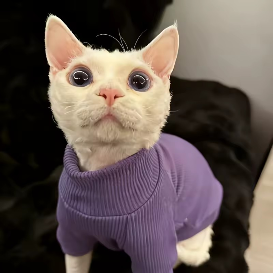 Ribbed Sphynx Cat Top Purple - L