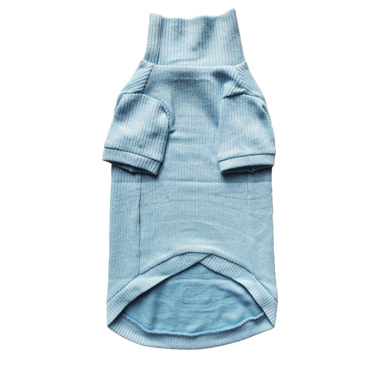 Sphynx Cat Blue Jumper