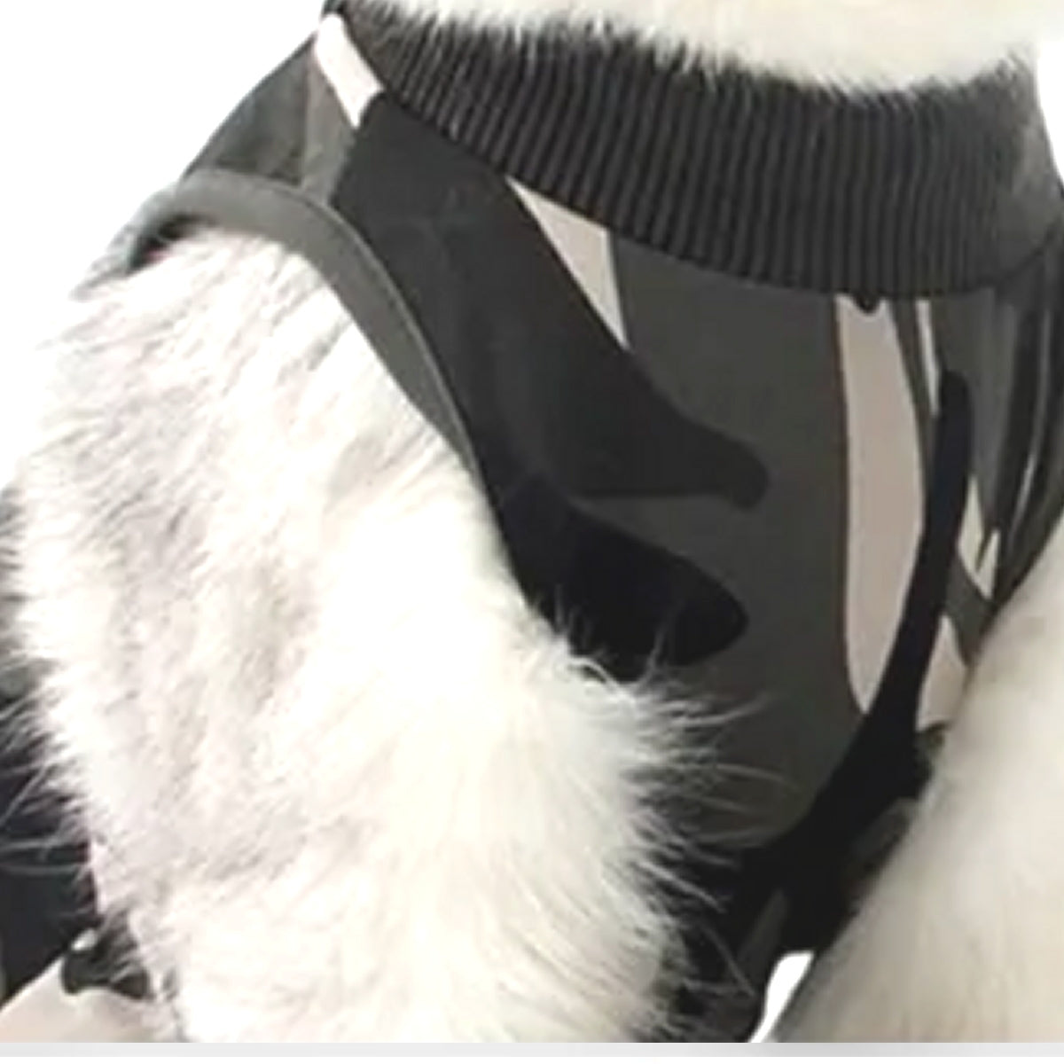 Cat Post-Surgery Full Body Recovery Suit