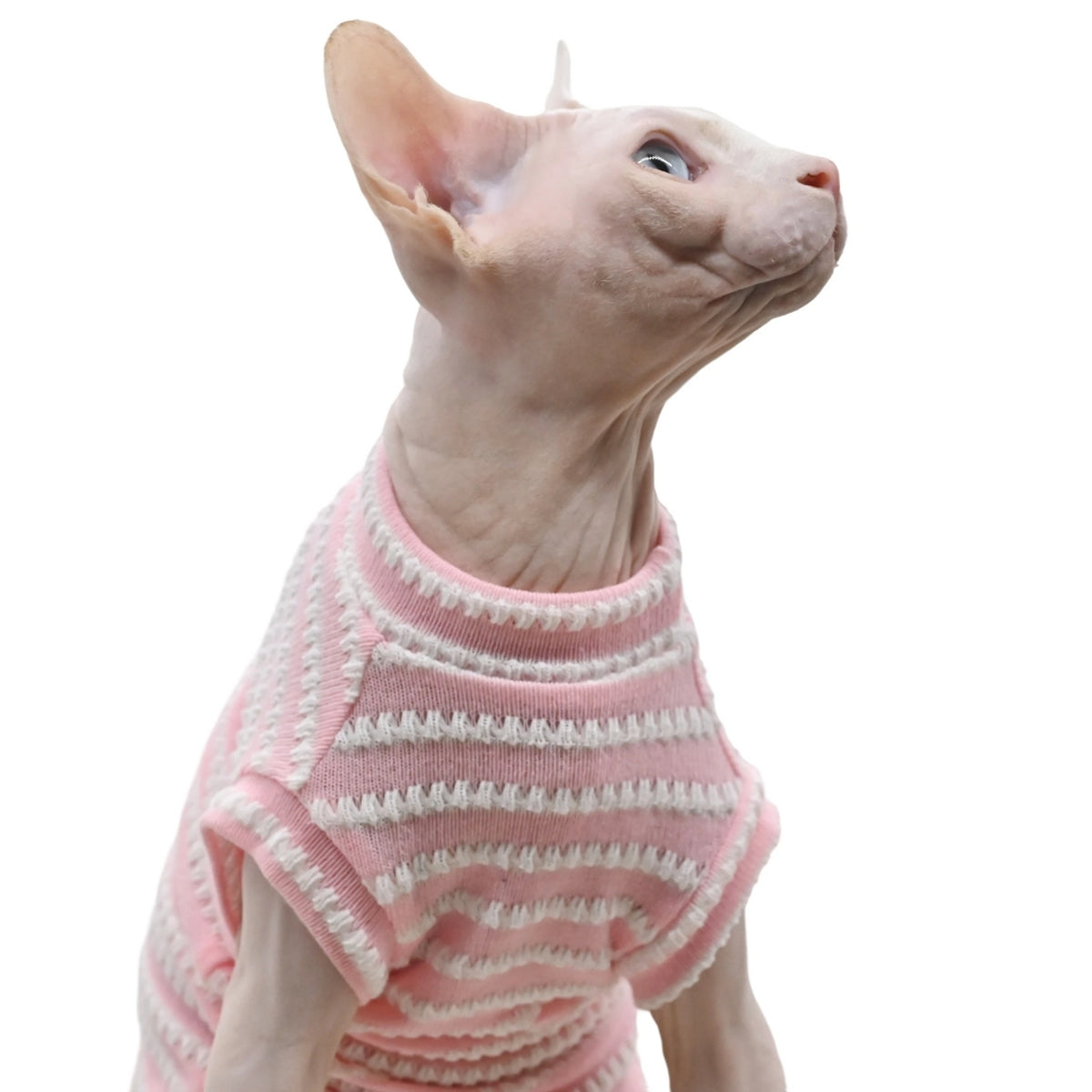 T-shirt Rayé Chat Sphynx - Rose