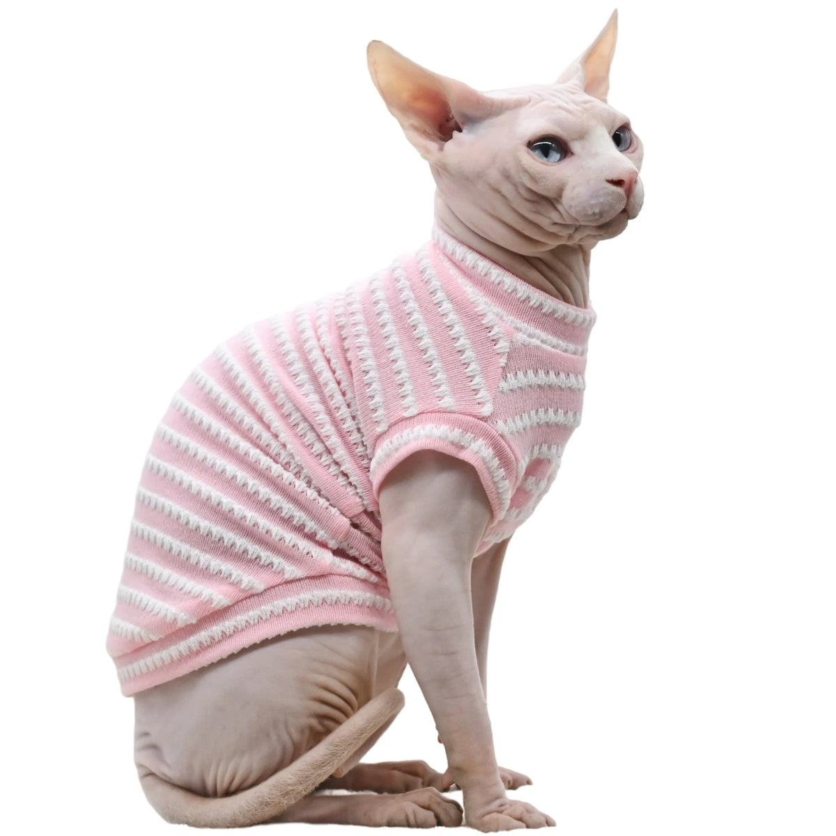 Chandail pour chat sphynx hotsell