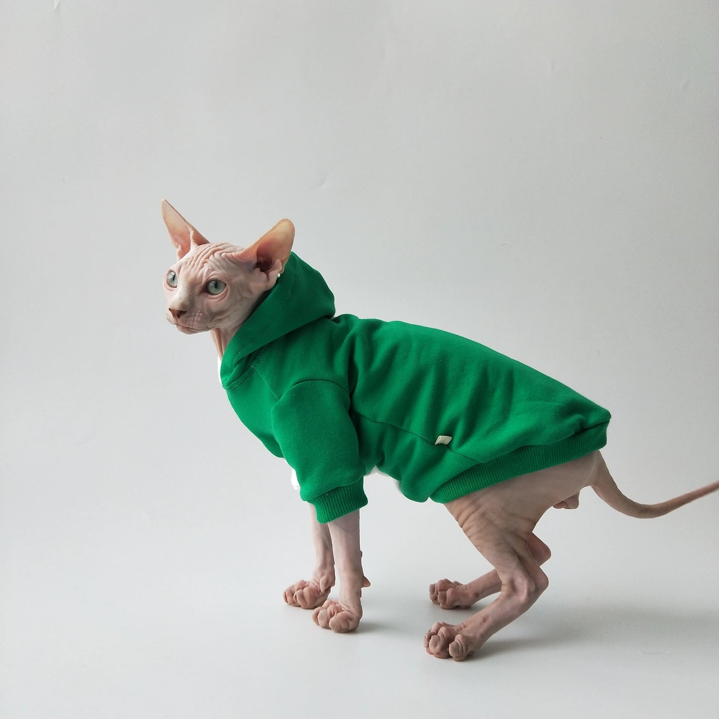 Split Colour Sweatshirt Sphynx Cat Hoodies