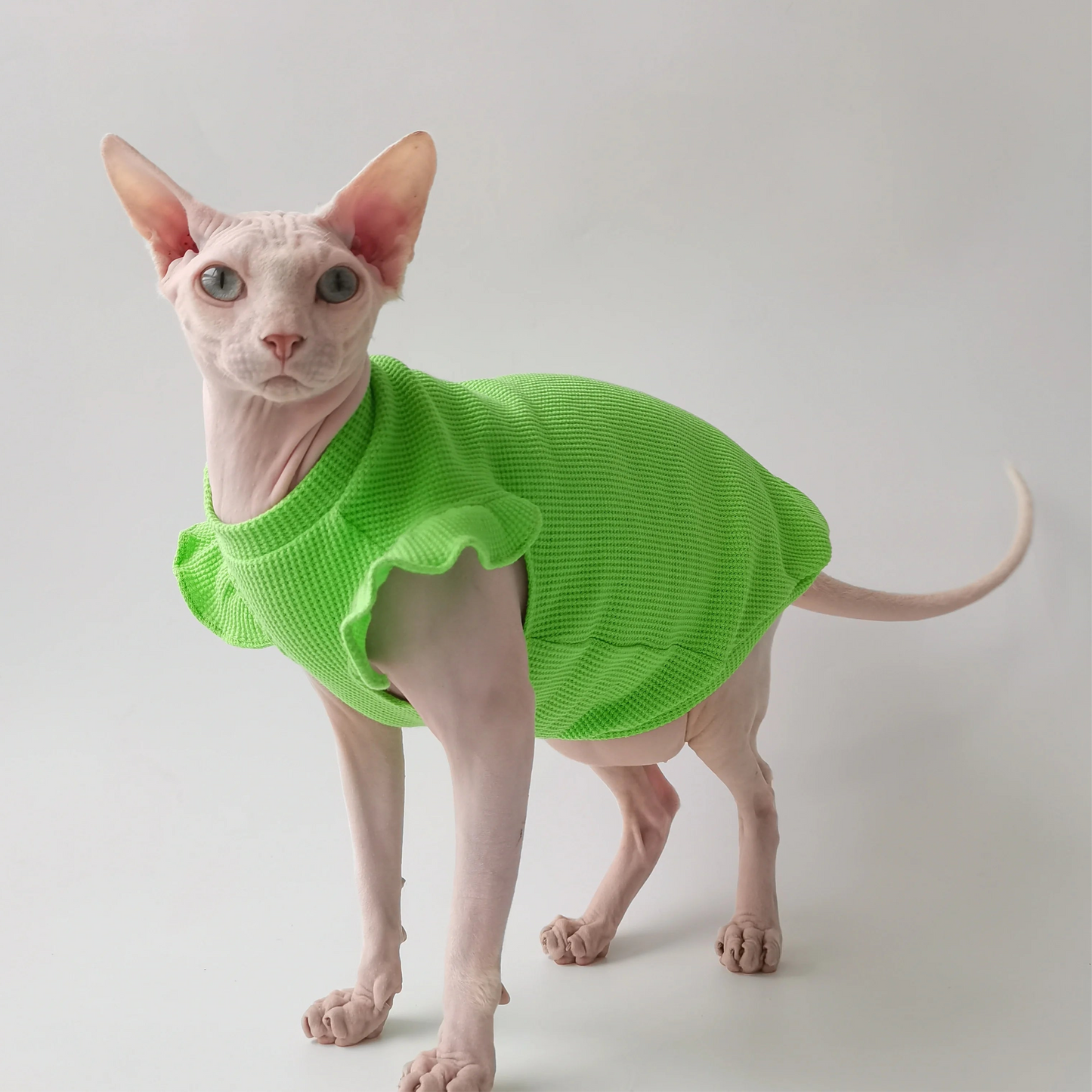 Petal Sleeves Sphynx Cat Vests