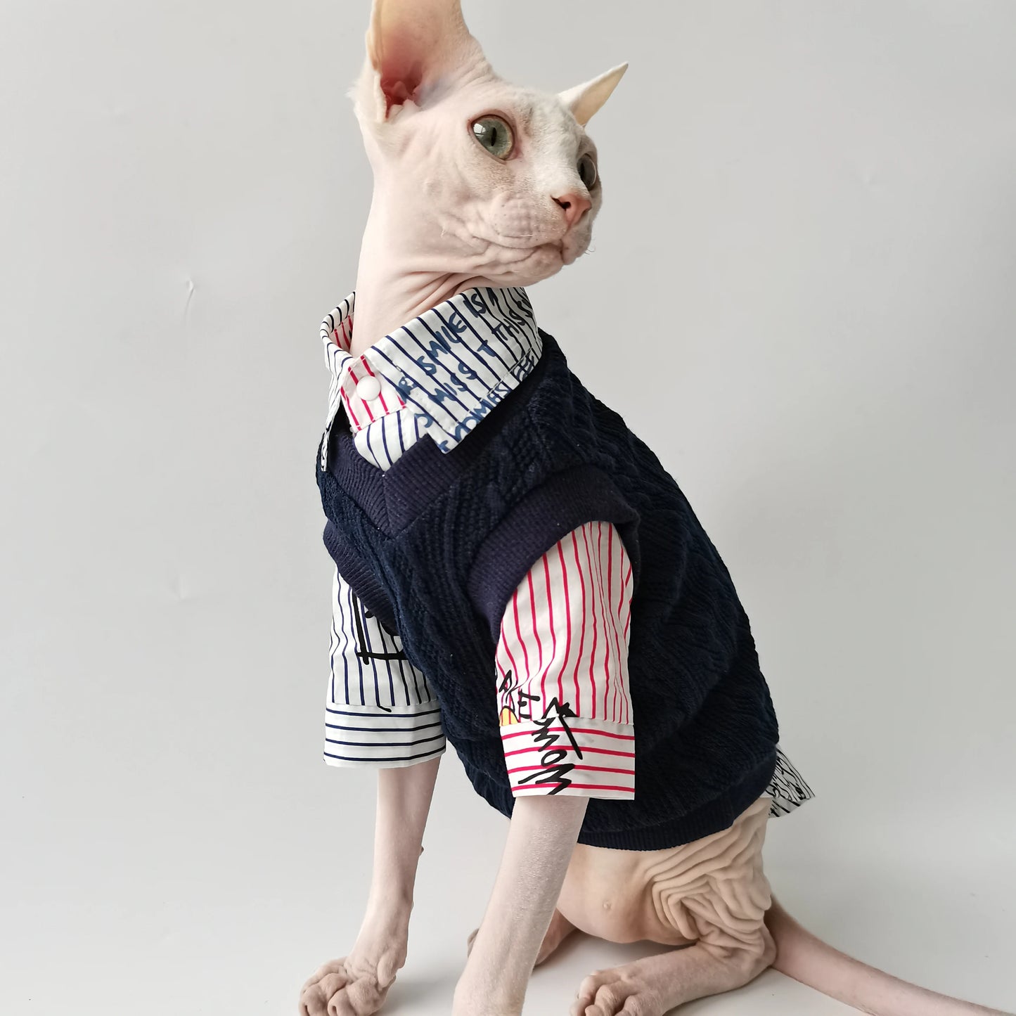 Sphynx Cat School Shirt & Jumper Vest