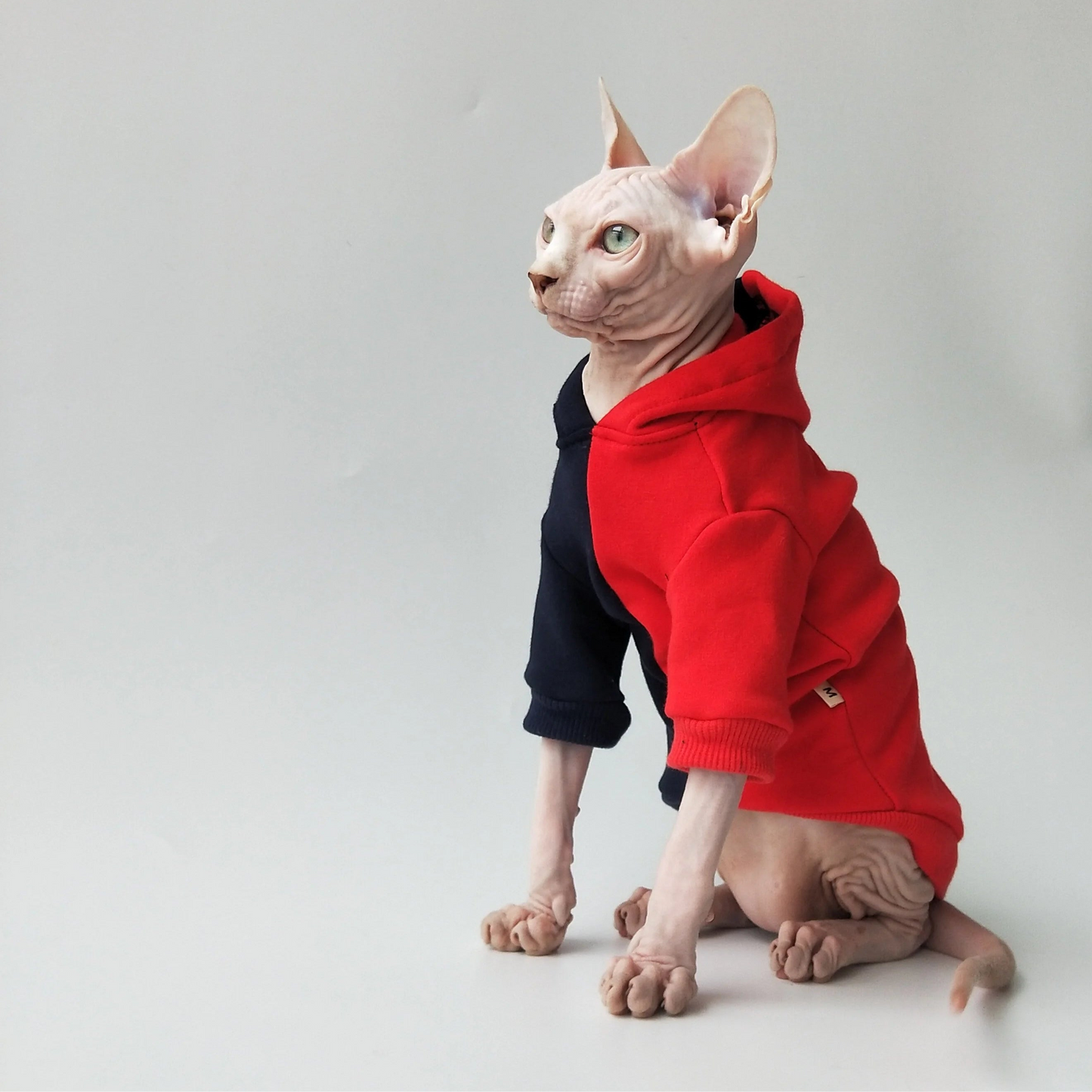 Split Colour Sweatshirt Sphynx Cat Hoodies