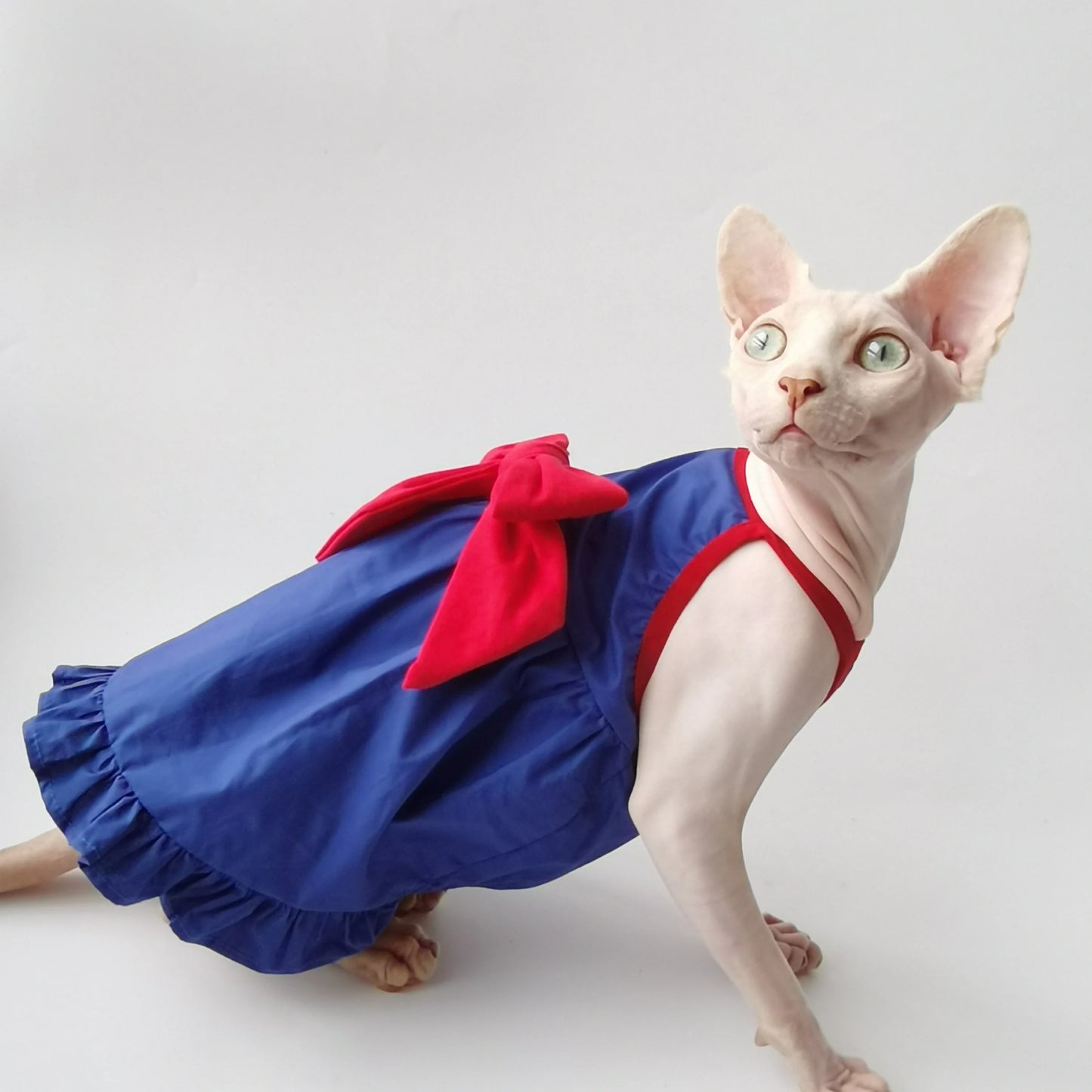 Blue & Red Bow Sphynx Cat Dress