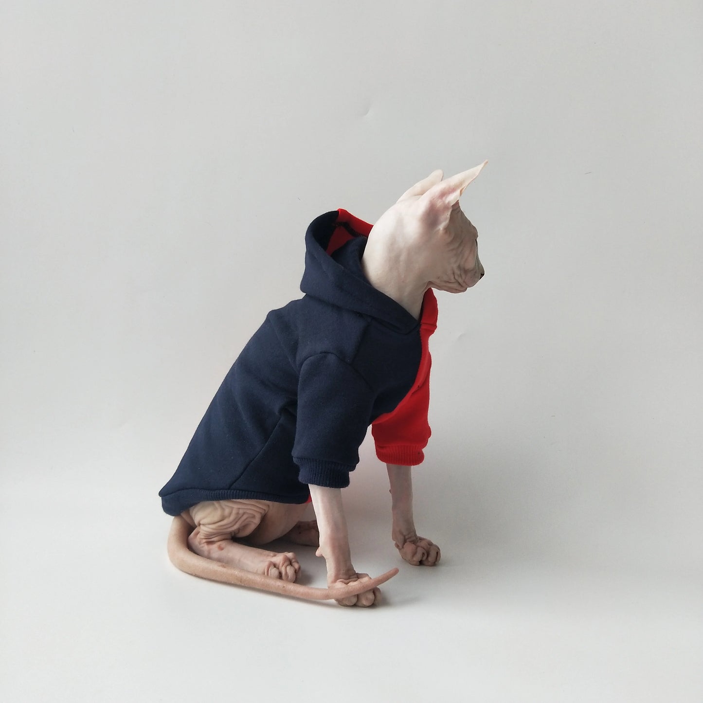 Split Colour Sweatshirt Sphynx Cat Hoodies