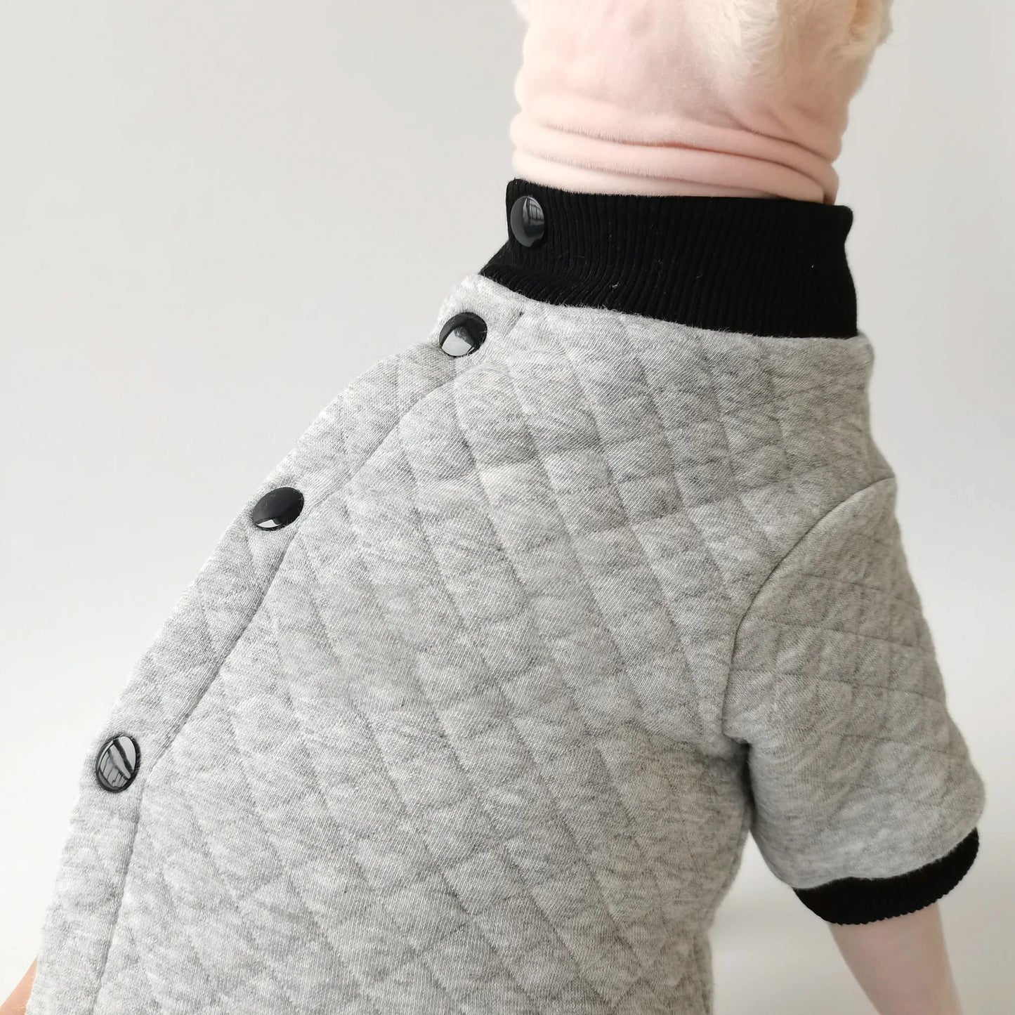 Sphynx Cat Grey Jumpsuit Jacket