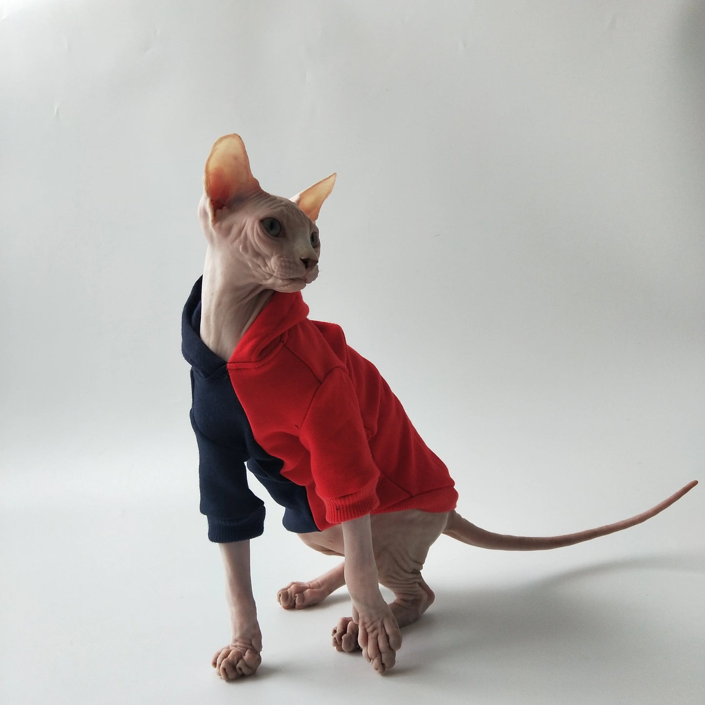 Split Colour Sweatshirt Sphynx Cat Hoodies