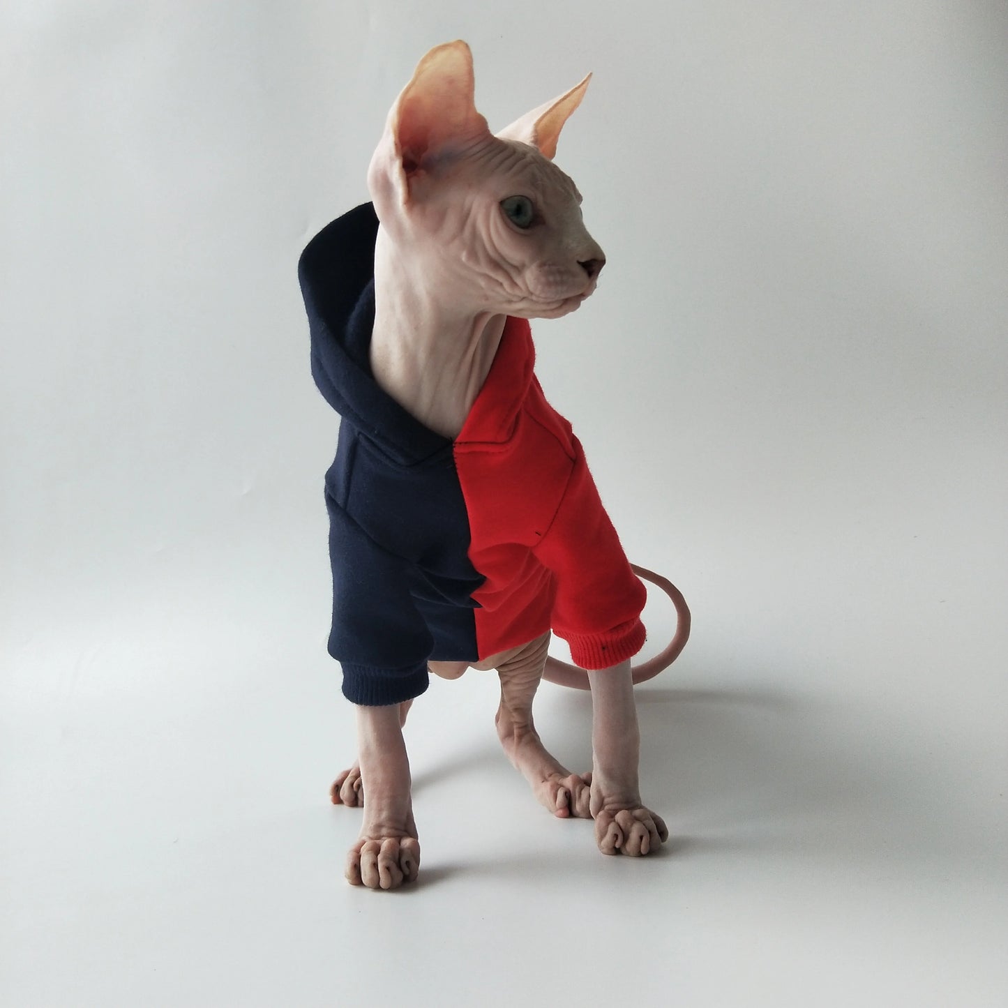 Split Colour Sweatshirt Sphynx Cat Hoodies