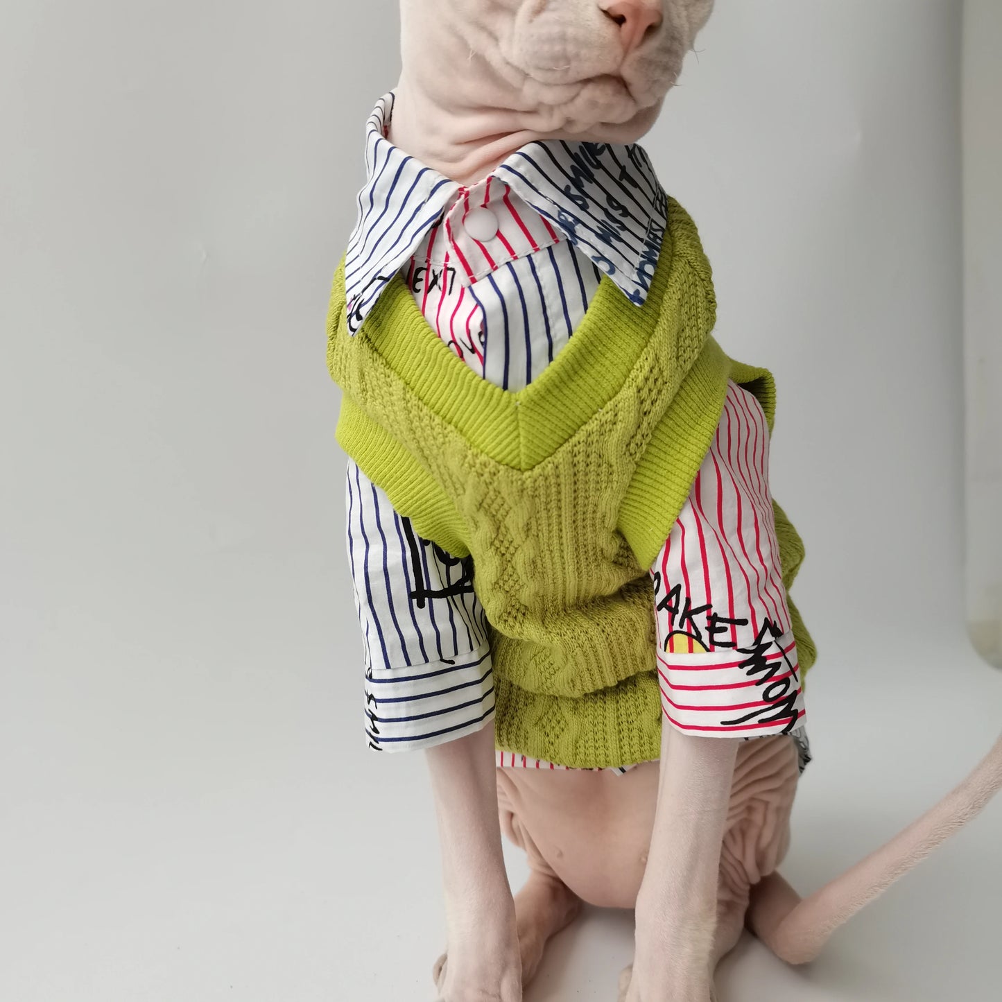 Sphynx Cat School Shirt & Jumper Vest