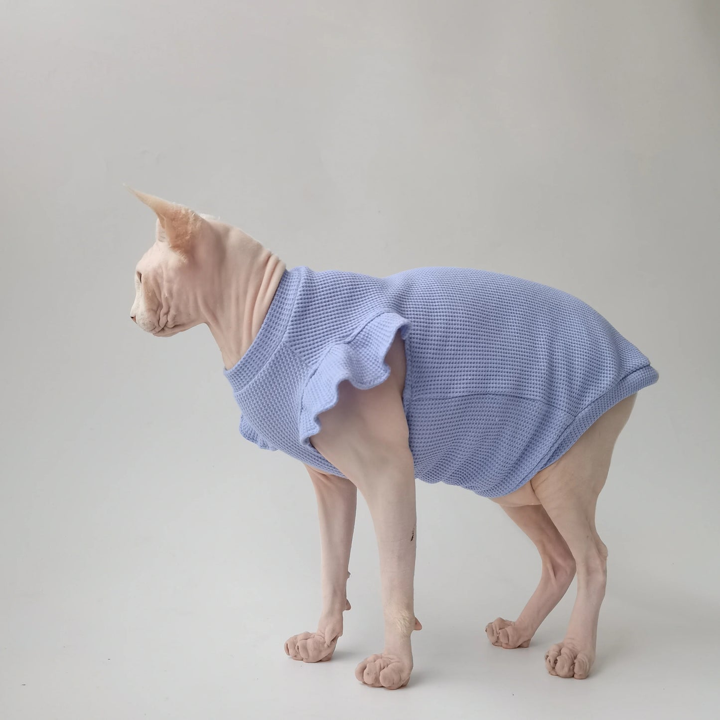 Petal Sleeves Sphynx Cat Vests