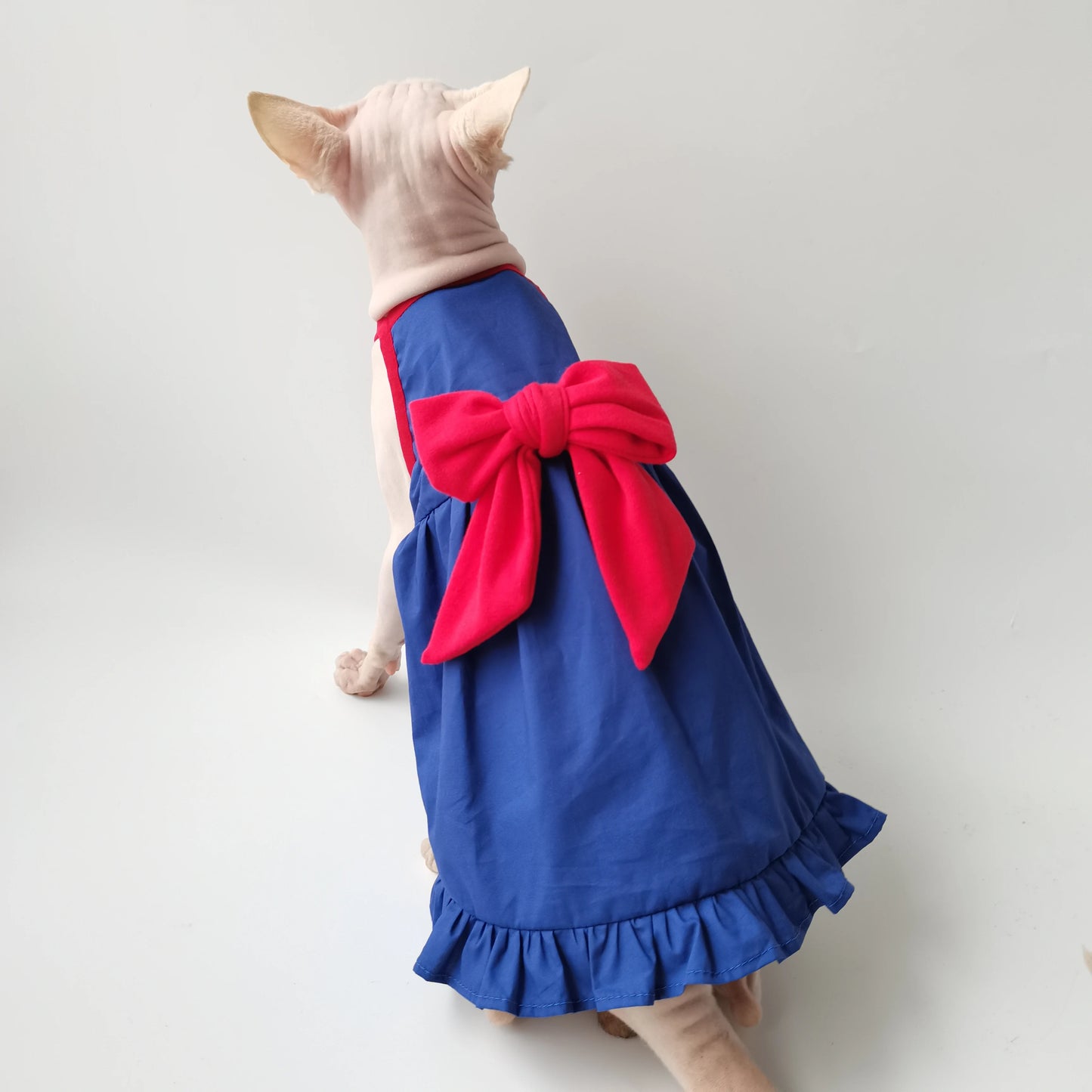 Blue & Red Bow Sphynx Cat Dress