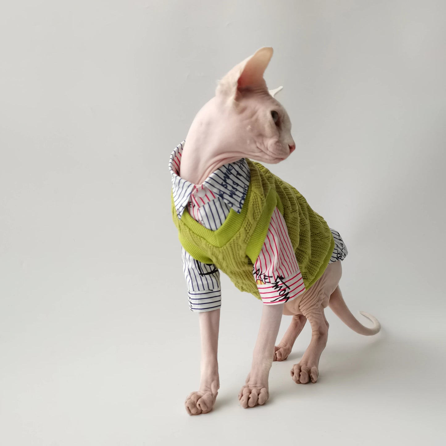 Sphynx Cat School Shirt & Jumper Vest