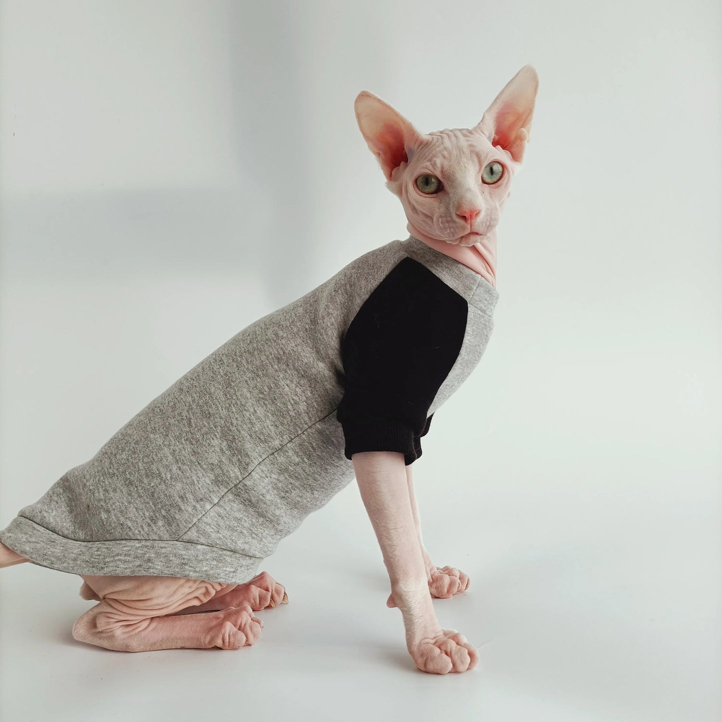 Sphynx Cat Sporty Sweatshirts