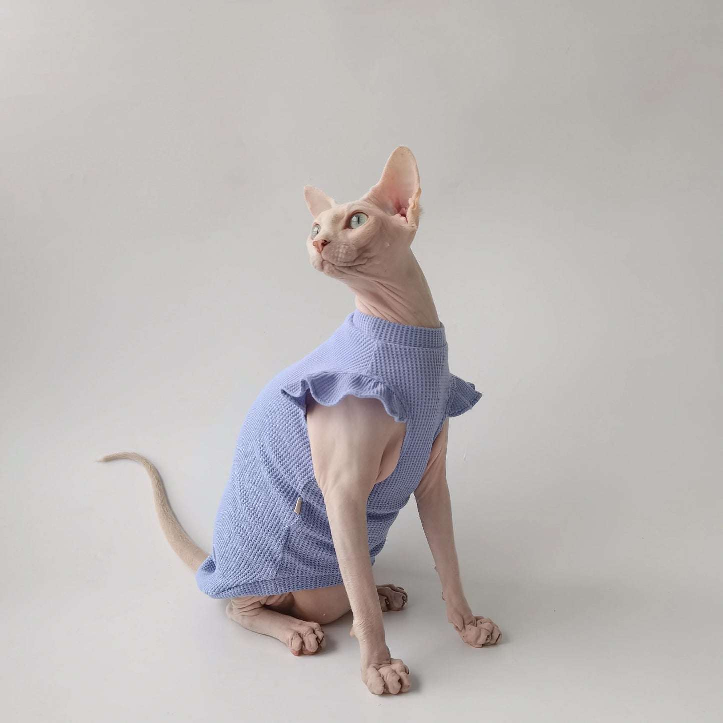 Petal Sleeves Sphynx Cat Vests