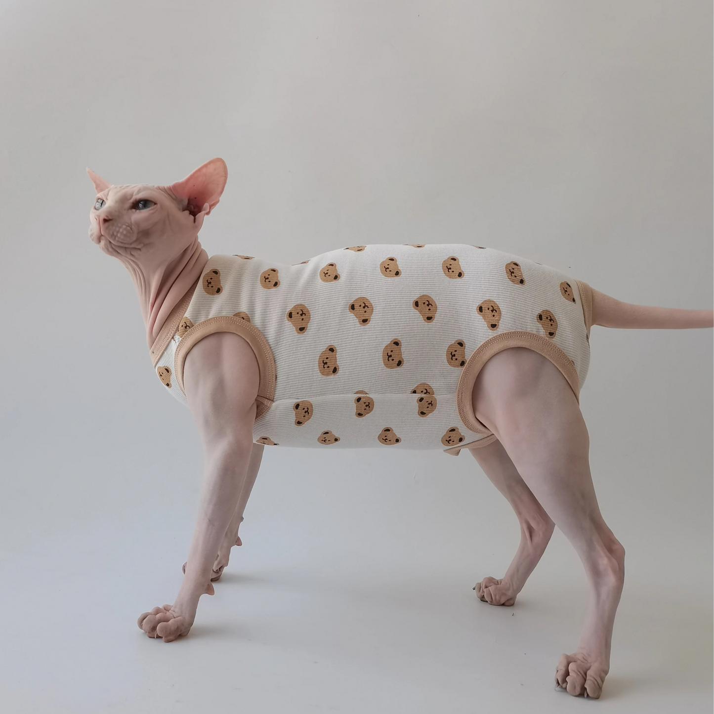 Teddy Bears Sphynx Cat Pyjamas Jumpsuit
