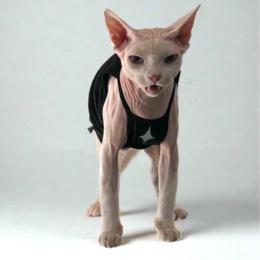 Diamond Star Black Sphynx Cat Vest