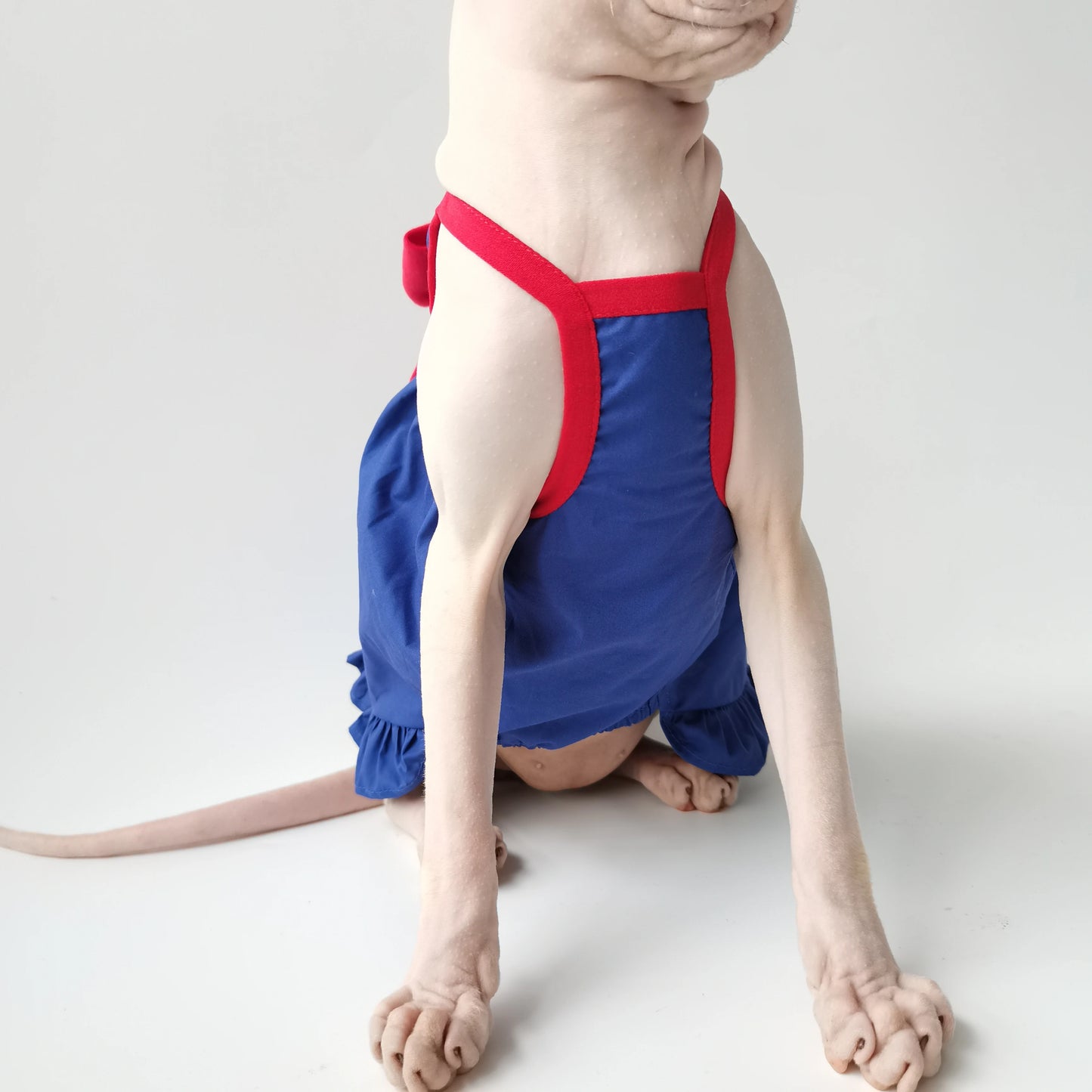 Blue & Red Bow Sphynx Cat Dress