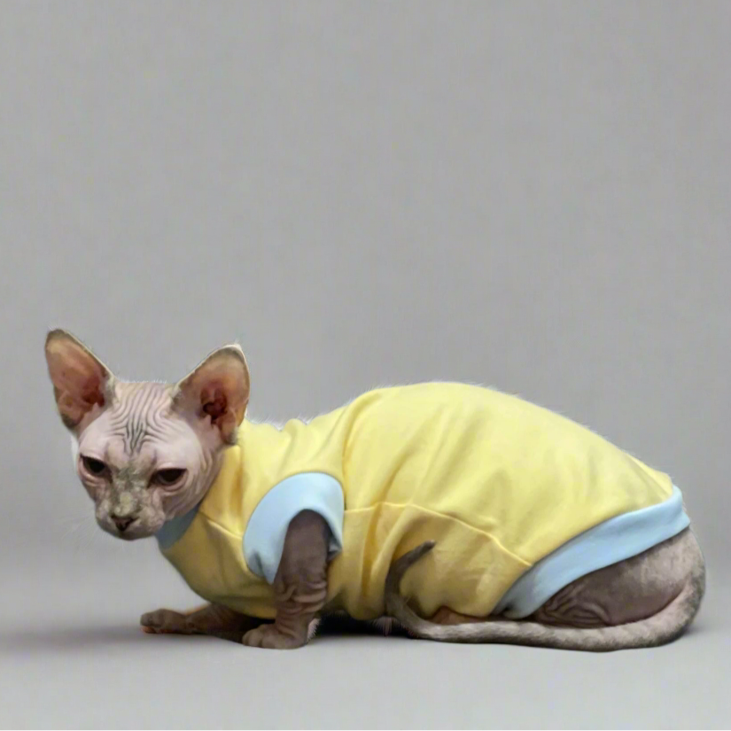 Warm Sphynx Cat T-Shirts