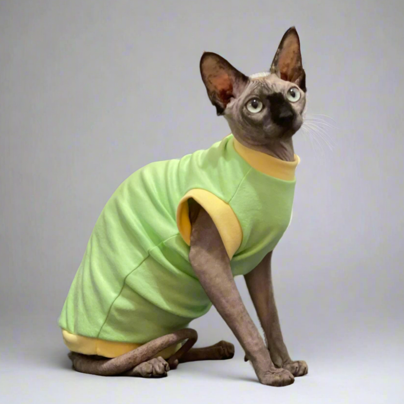 Warm Sphynx Cat T-Shirts