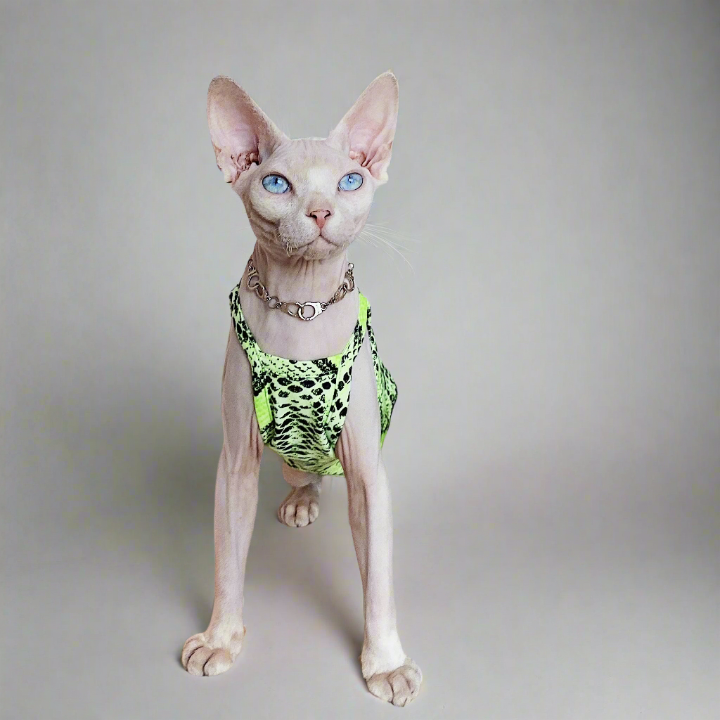Vegan Snakeskin Sphynx Cat Vest