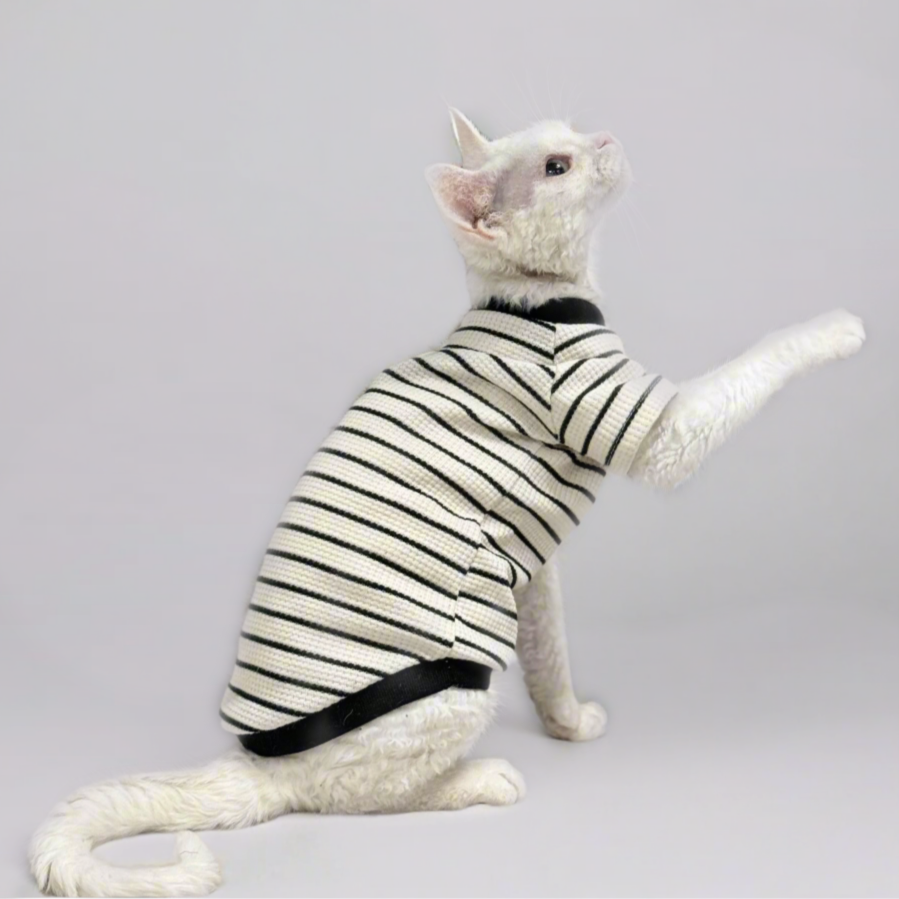 Black & White Stripe Sphynx Cat T-shirts and Vests