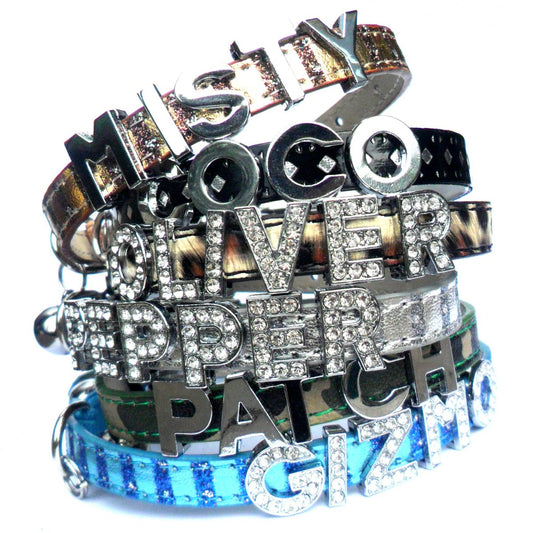 Personalised Name Cat Collar Cat Collars | Clothes for Cats