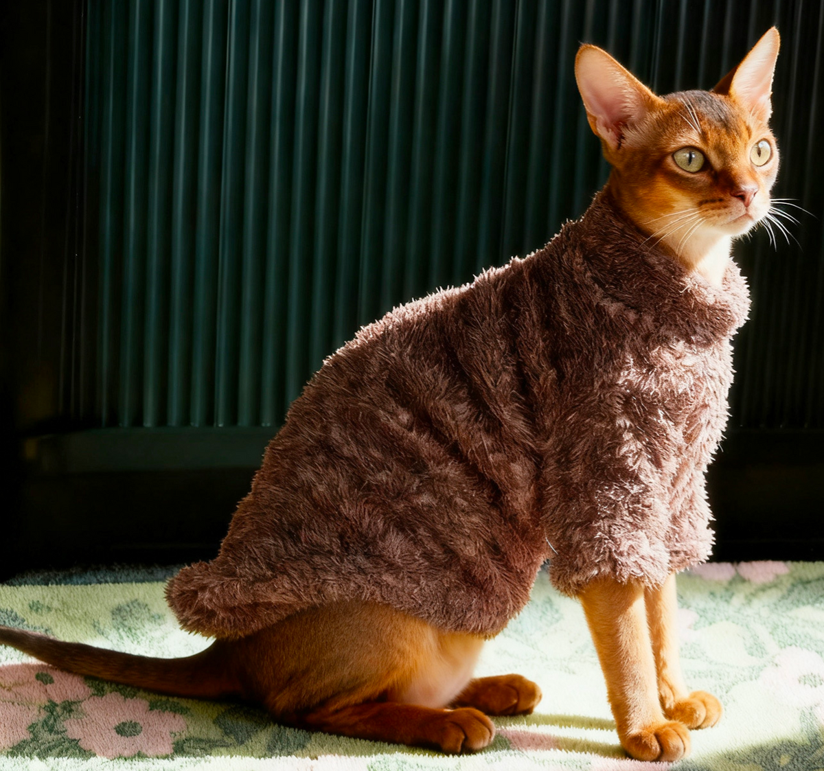 SALE Sphynx Cat Fleece - Sherpa Brown XL