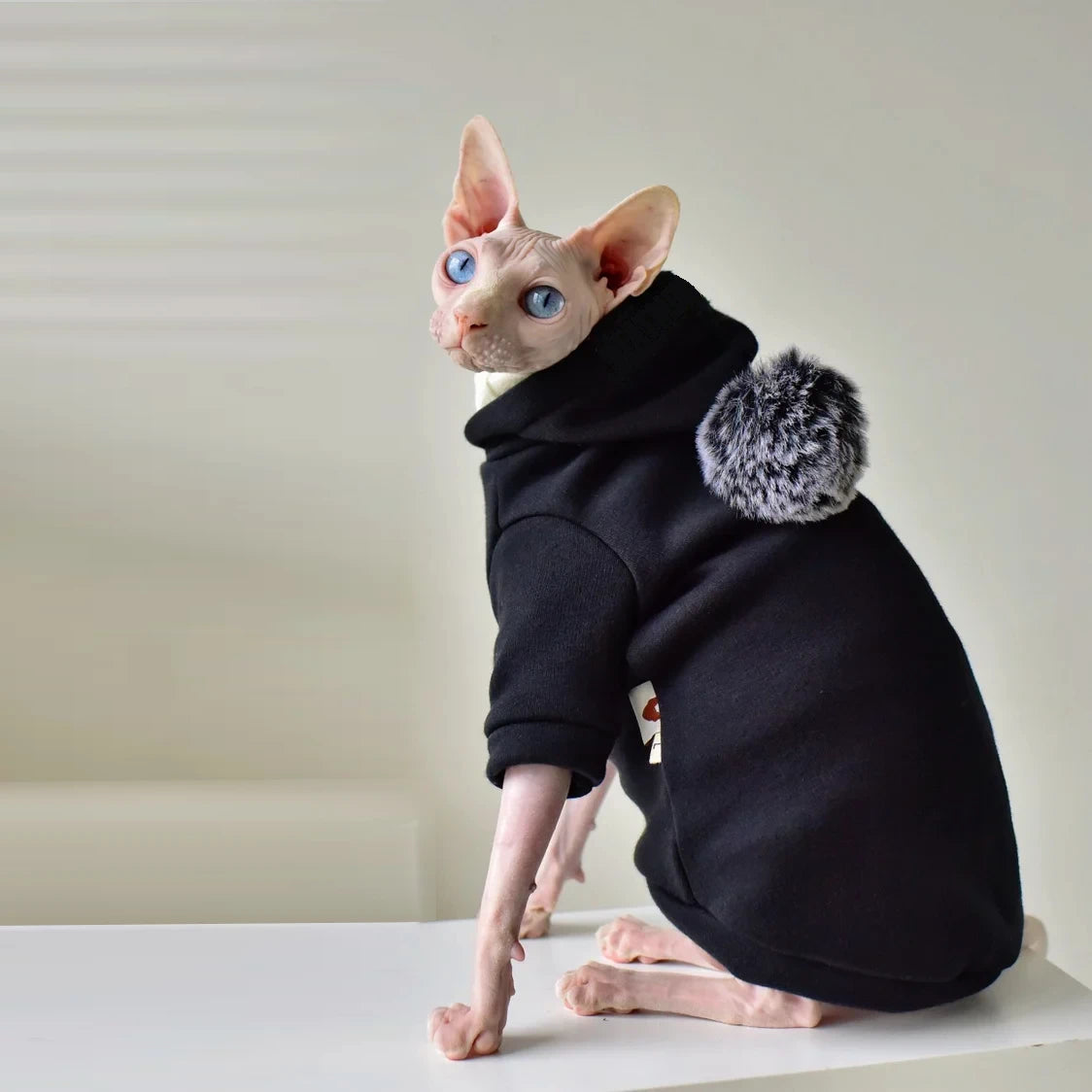 Pom Pom Sphynx Cat Hoody - Black