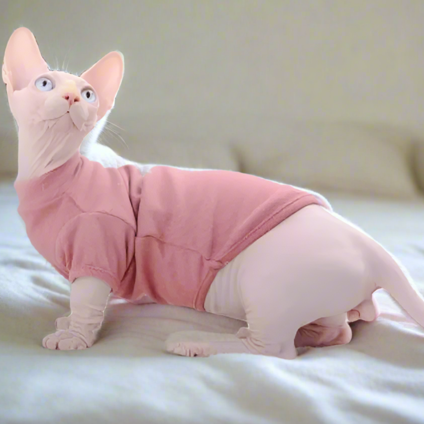 Basic Sphynx Cat T-shirt