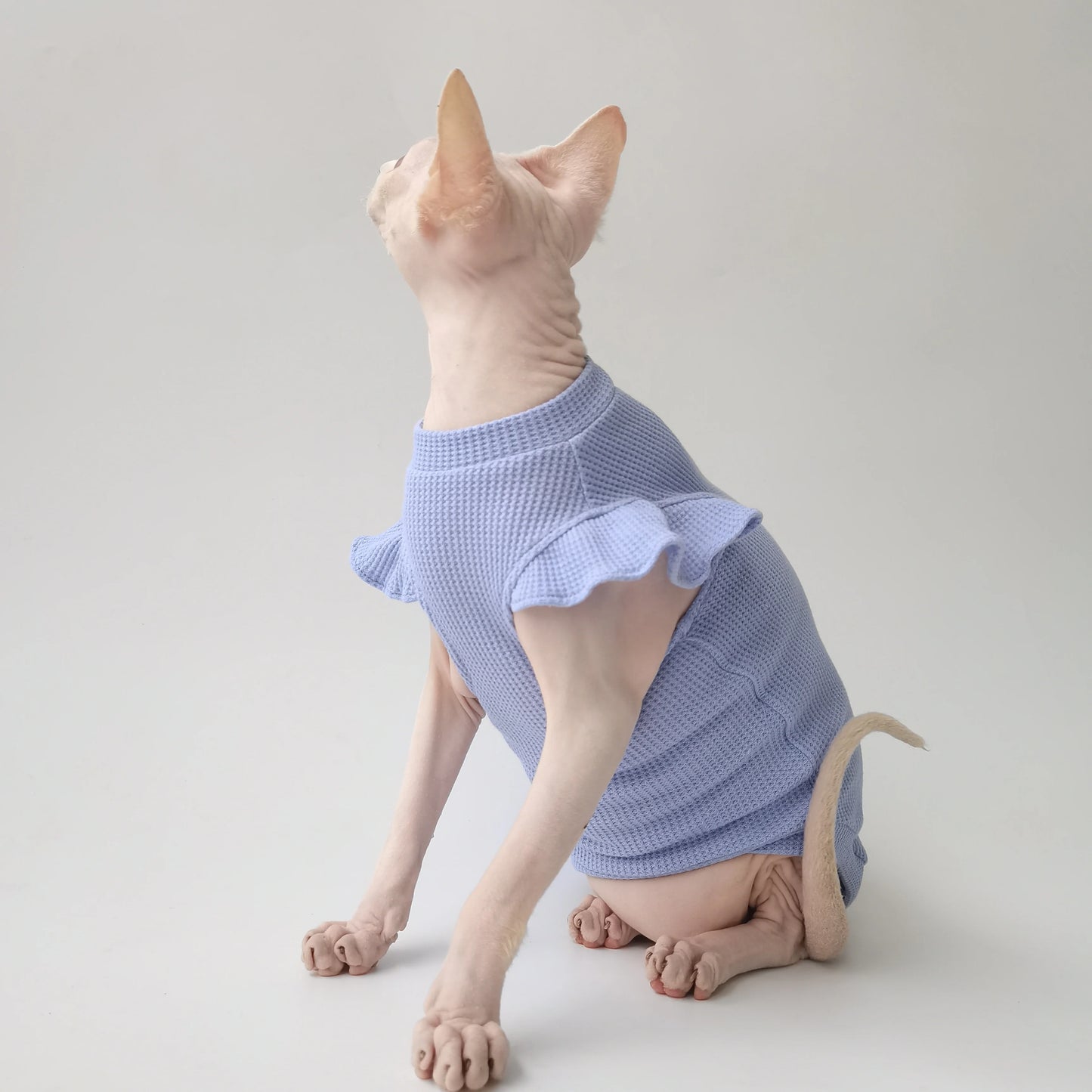 Petal Sleeves Sphynx Cat Vests