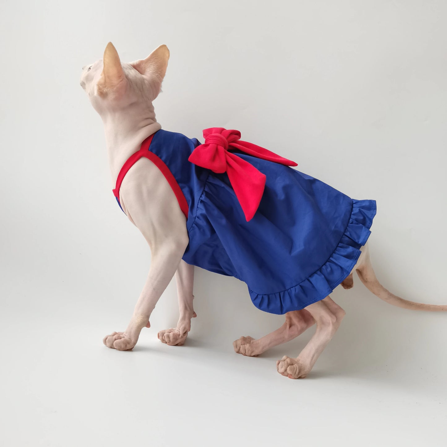 Blue & Red Bow Sphynx Cat Dress