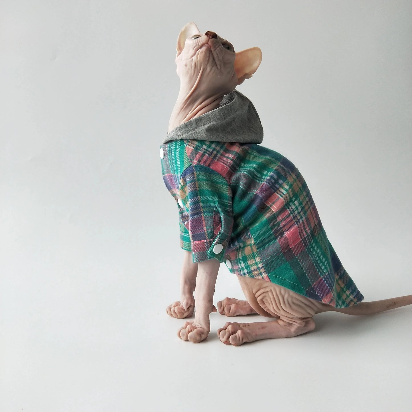 Warm Plaid Sphynx Cat Hoodies