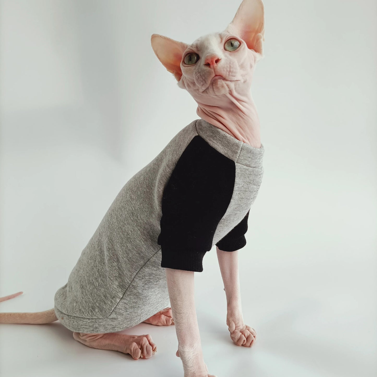 Sphynx Cat Sporty Sweatshirts