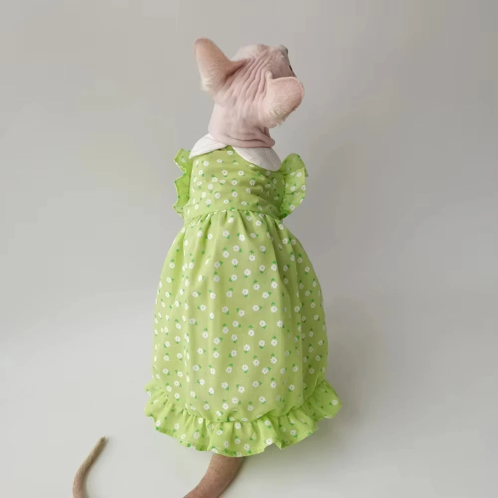 Floral Sphynx Cat Dress