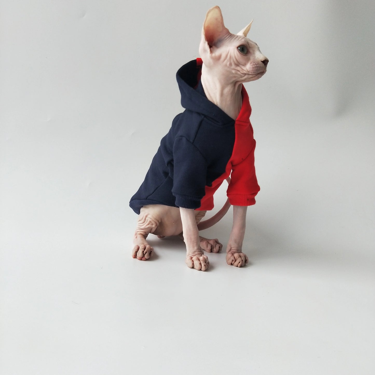 Split Colour Sweatshirt Sphynx Cat Hoodies