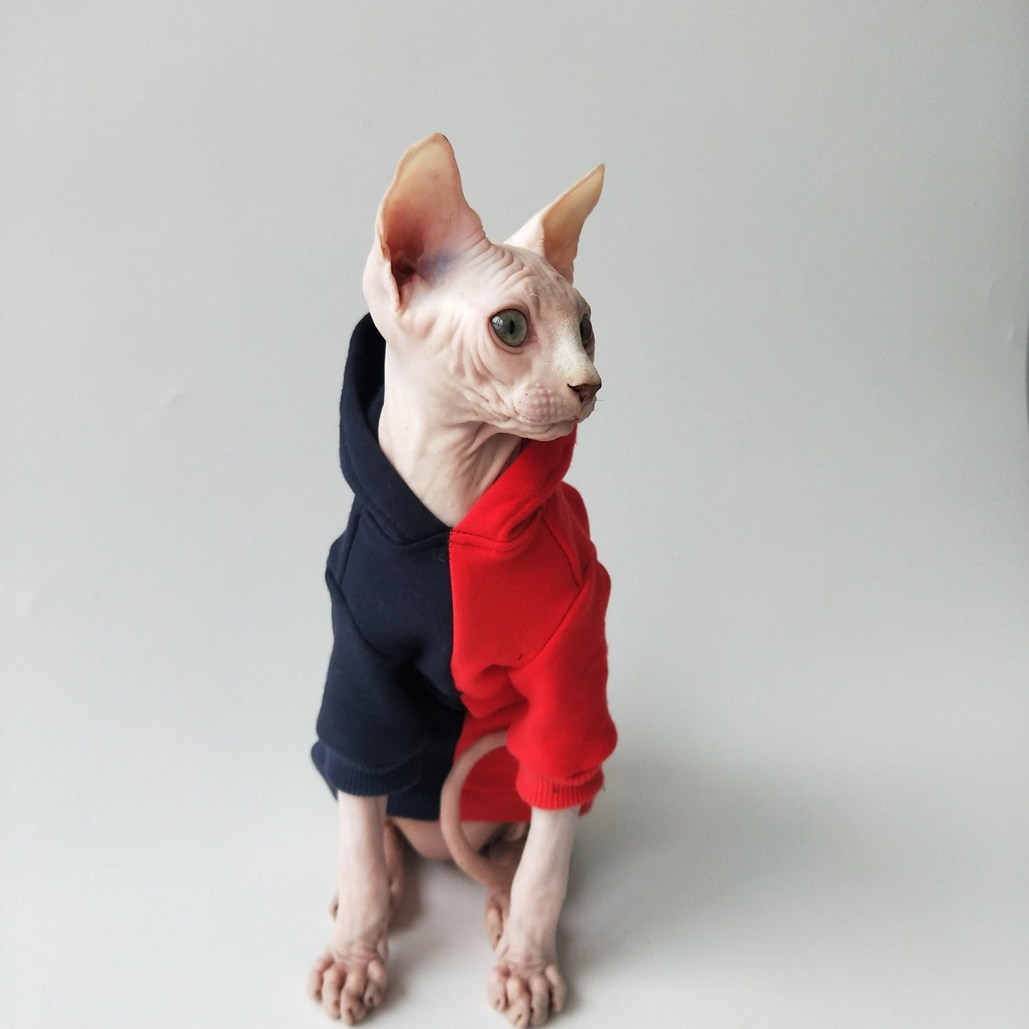 Split Colour Sweatshirt Sphynx Cat Hoodies