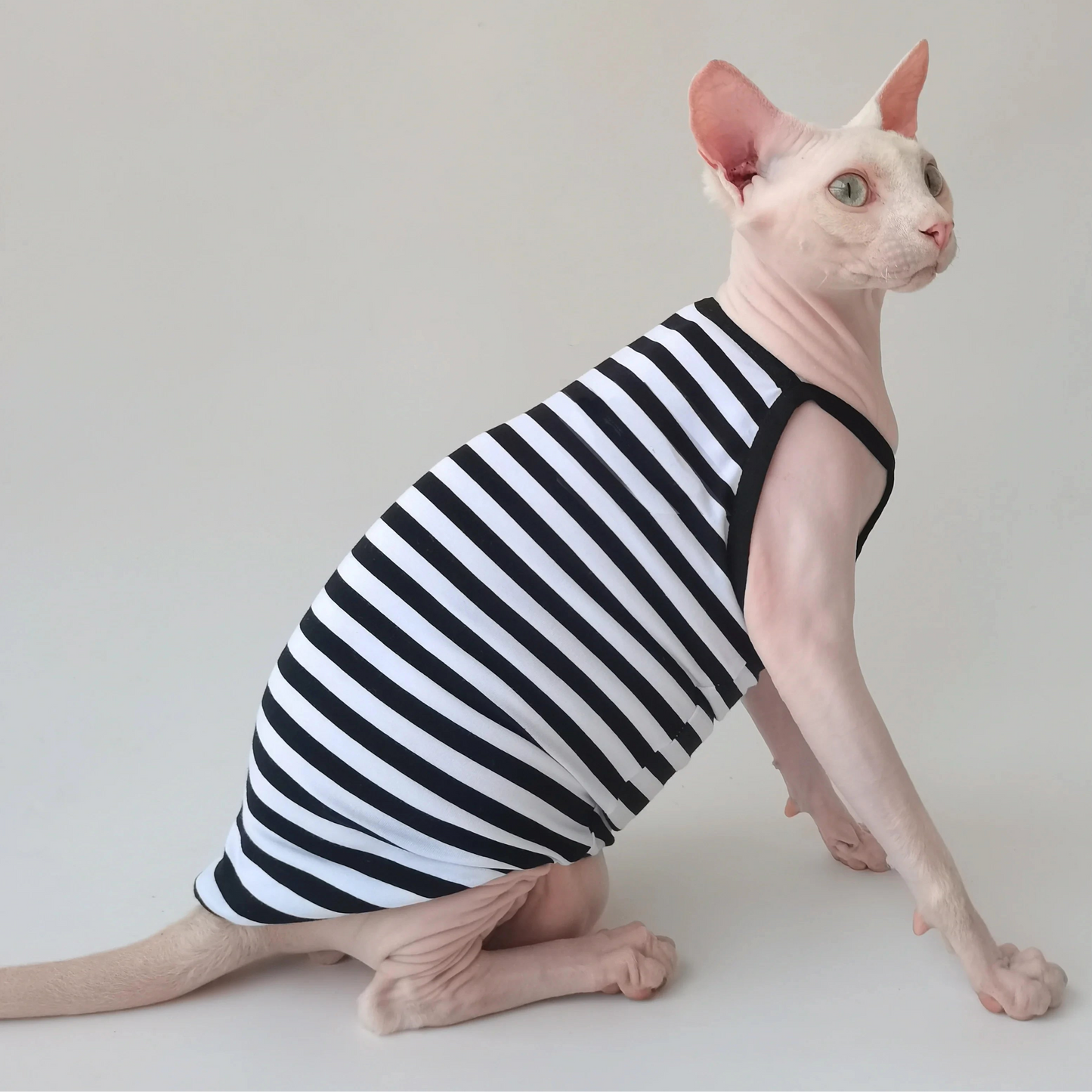 Contrast Sphynx Cat Spaghetti Strap Vests