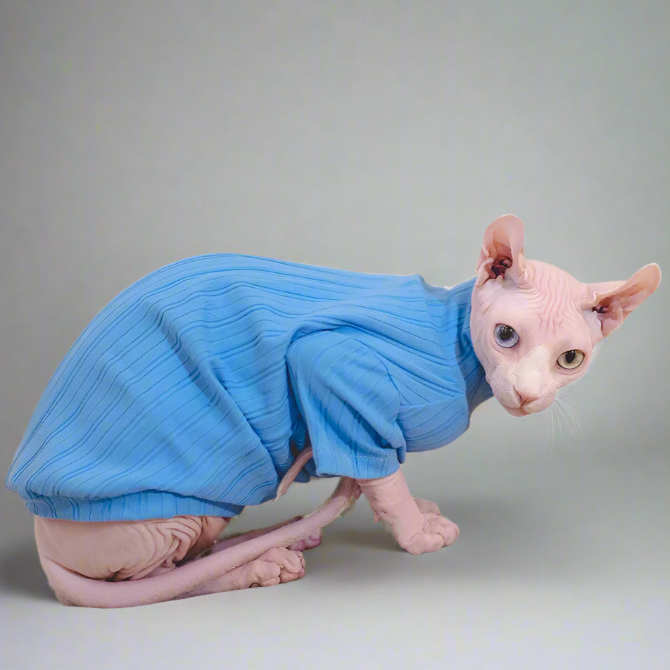 Ribbed Knit Sphynx Cat Sweater - Blue