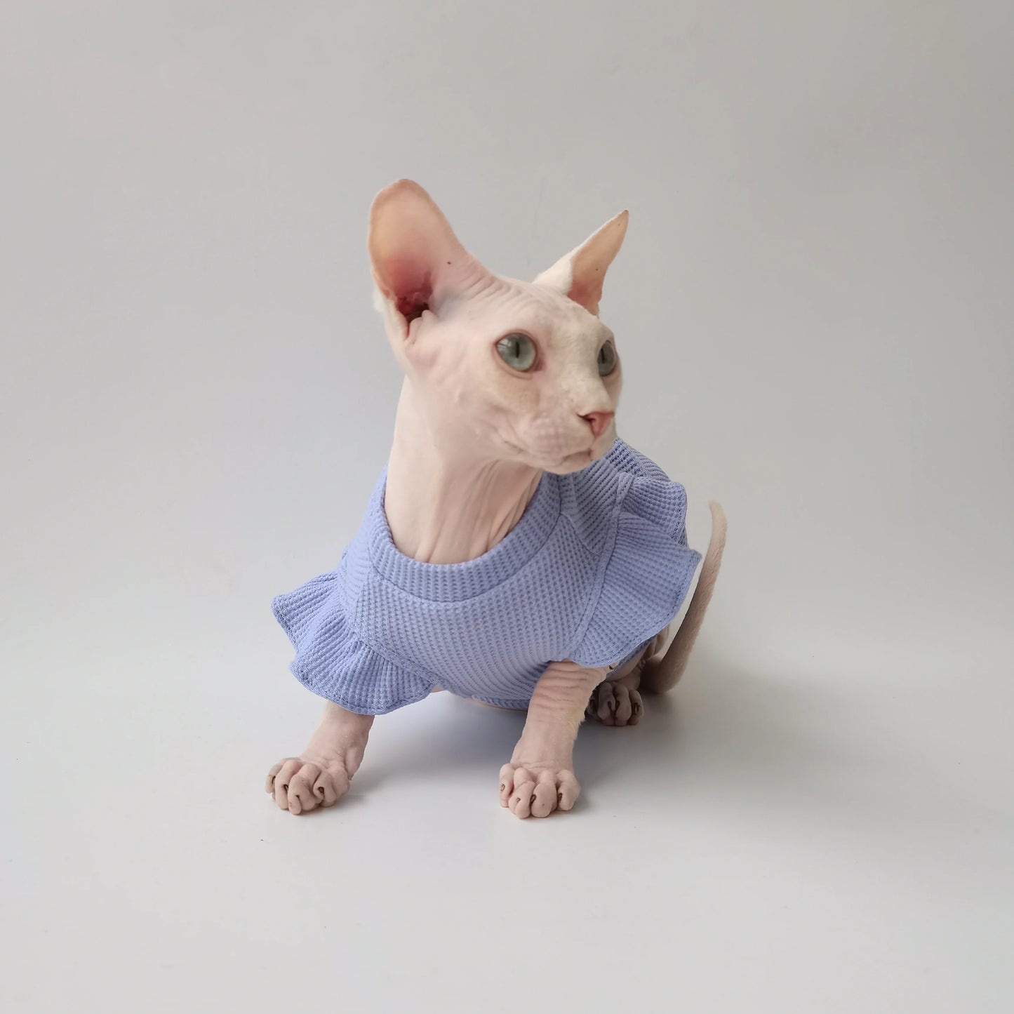 Petal Sleeves Sphynx Cat Vests