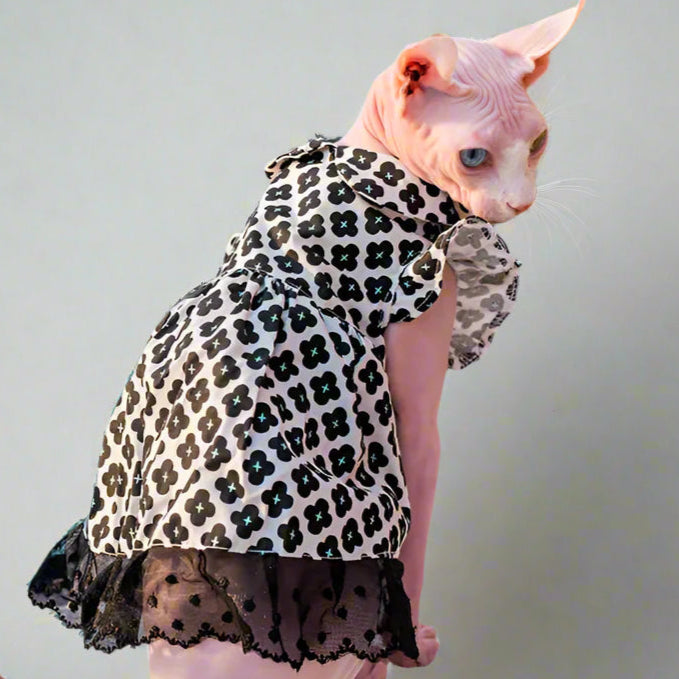 Sphynx Cat Black Lace Flower Dress