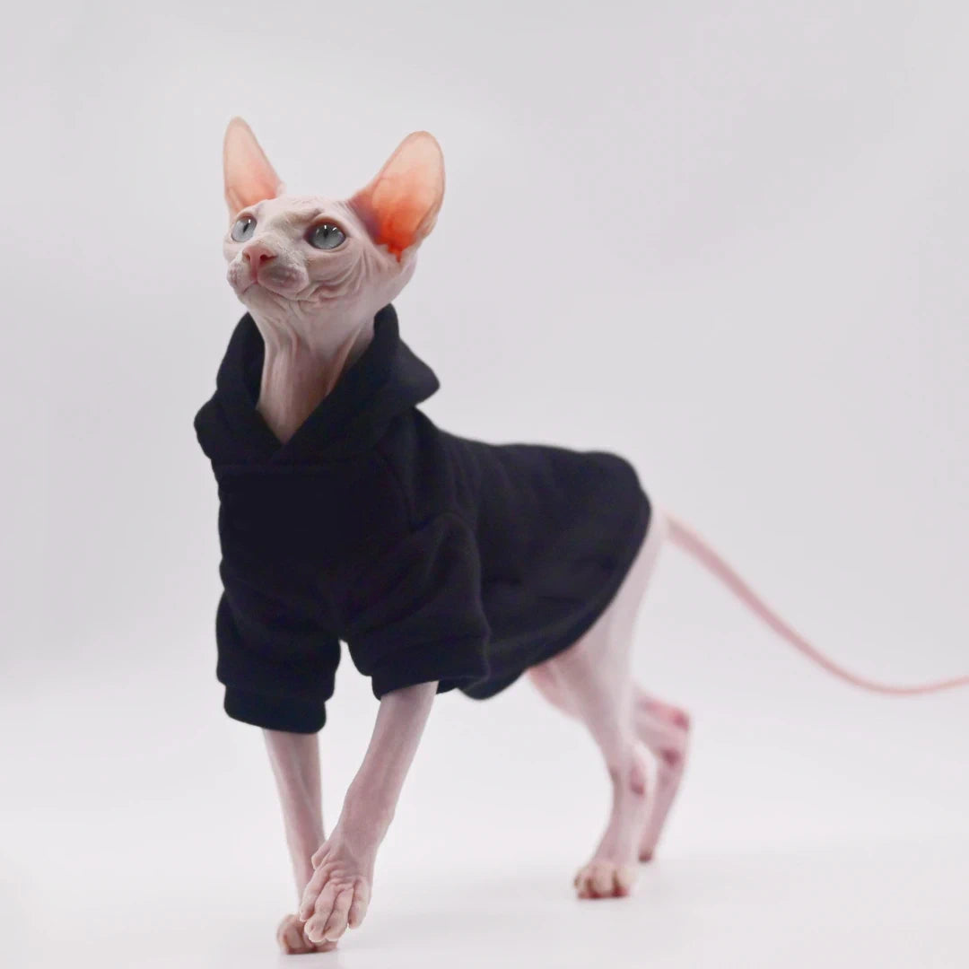 Sphynx Cat Sweatshirt Hoody - Black