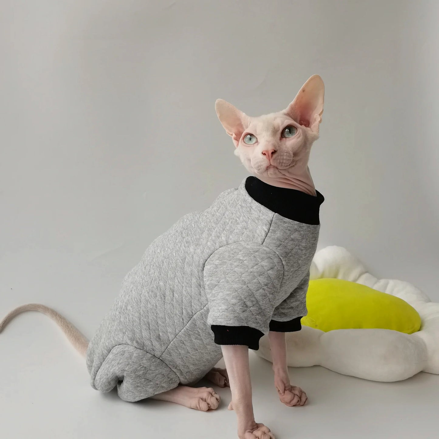 Sphynx Cat Grey Jumpsuit Jacket