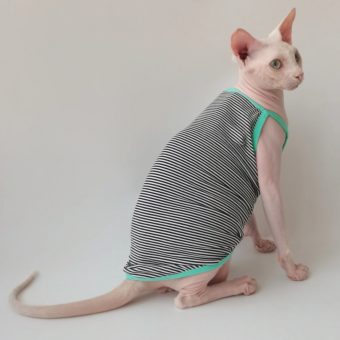 Contrast Sphynx Cat Spaghetti Strap Vests