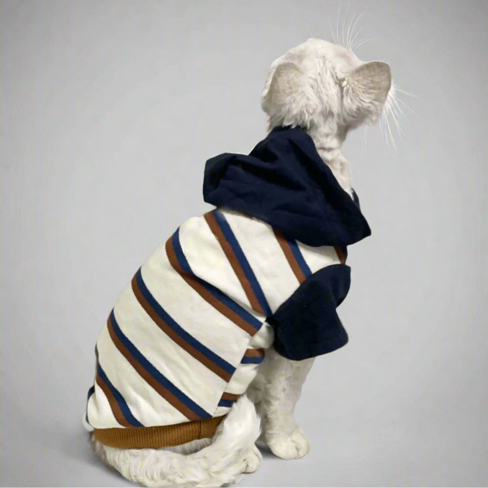 Oxford Striped Sphynx Cat Hoody