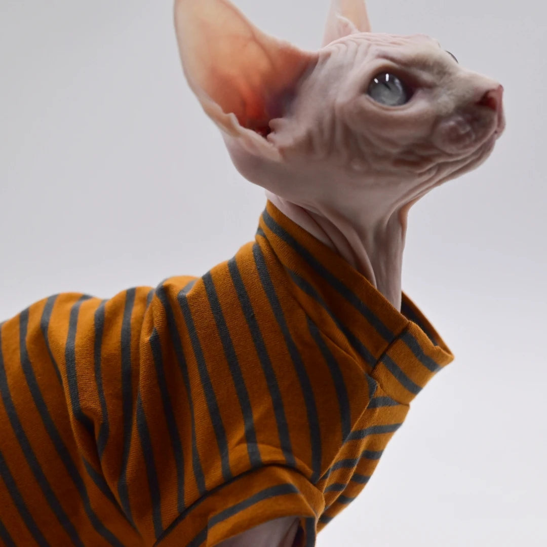 Striped Sphynx Cat Summer Vest T-shirt