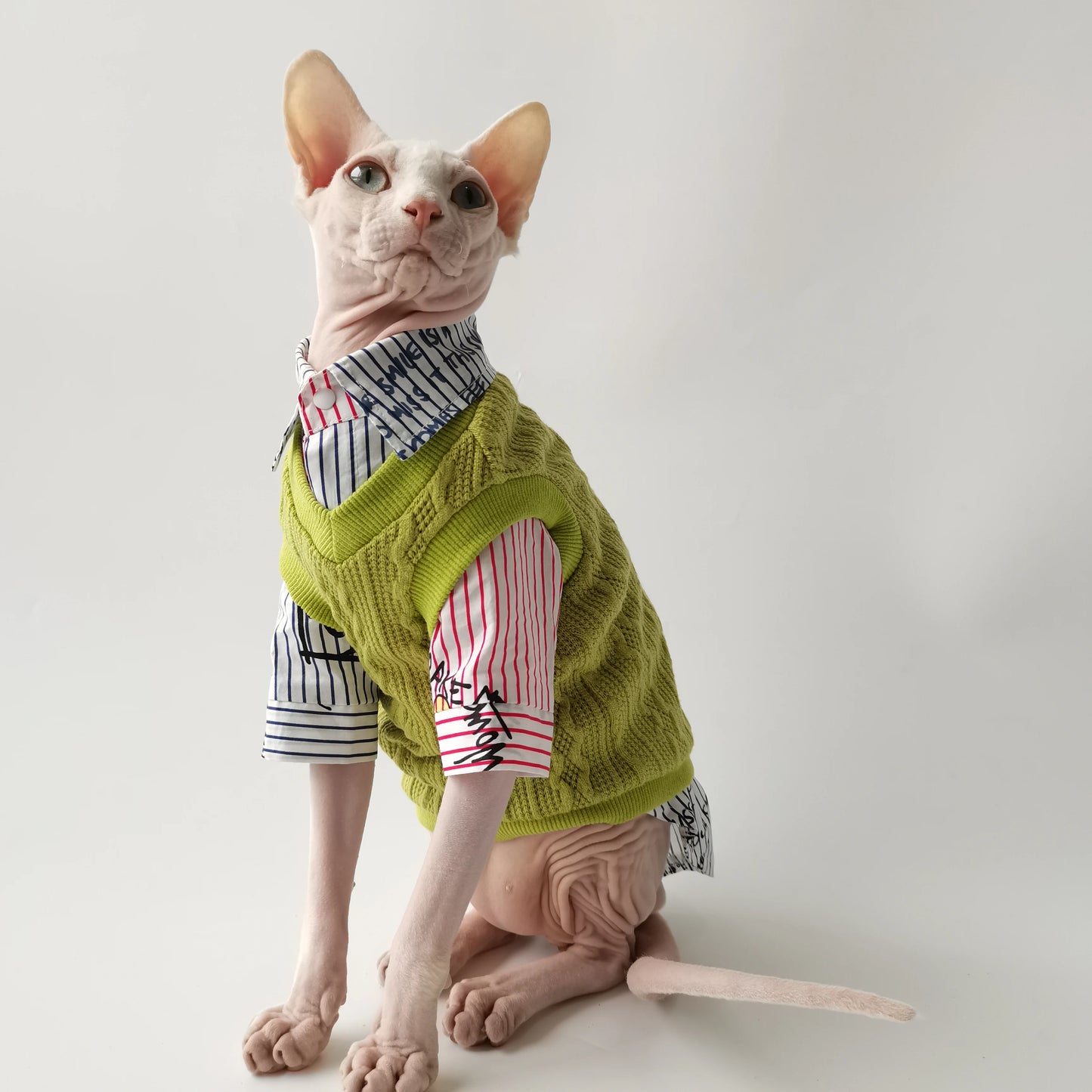 Sphynx Cat School Shirt & Jumper Vest