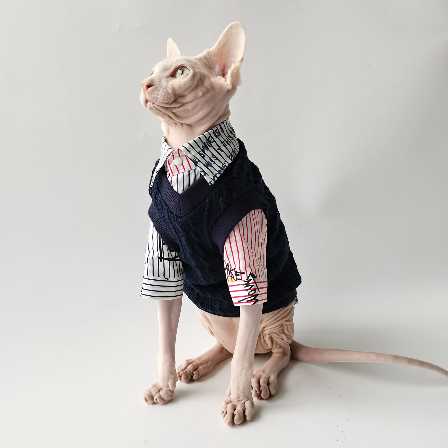 Sphynx Cat School Shirt & Jumper Vest