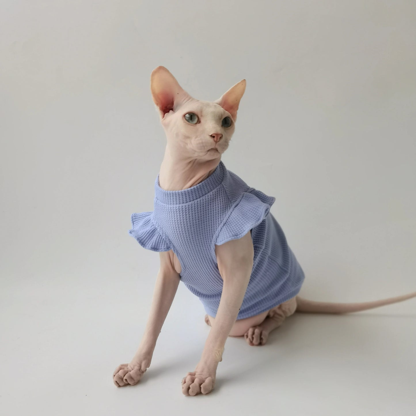Petal Sleeves Sphynx Cat Vests